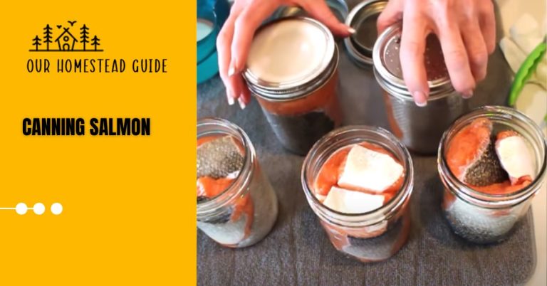 Safely Pressure Canning Salmon: Easy Steps Guide