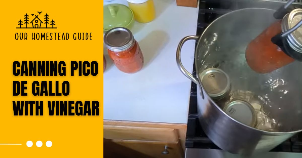 Canning pico de gallo with vinegar