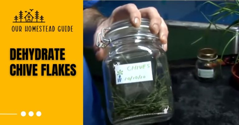 How to Dehydrate Chive Flakes: A Step-by-Step Guide