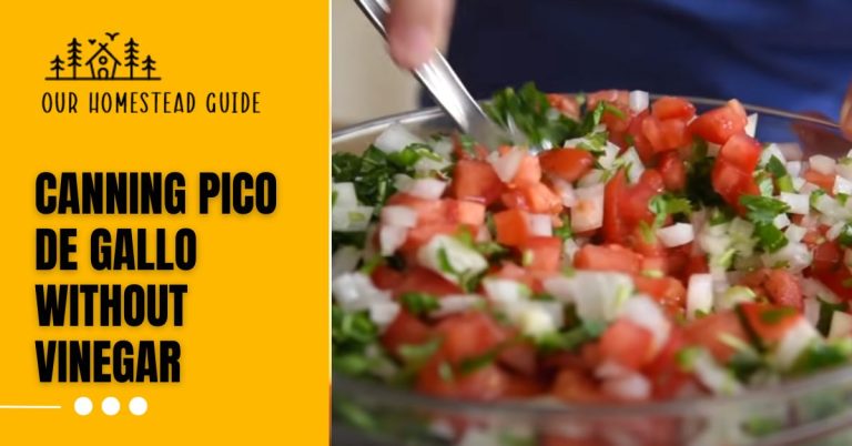 Canning Pico de Gallo Without Vinegar: easy step by step guide
