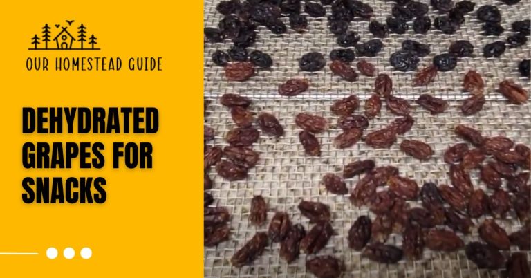 How To Dehydrated Grapes for Snacks: step by step guide