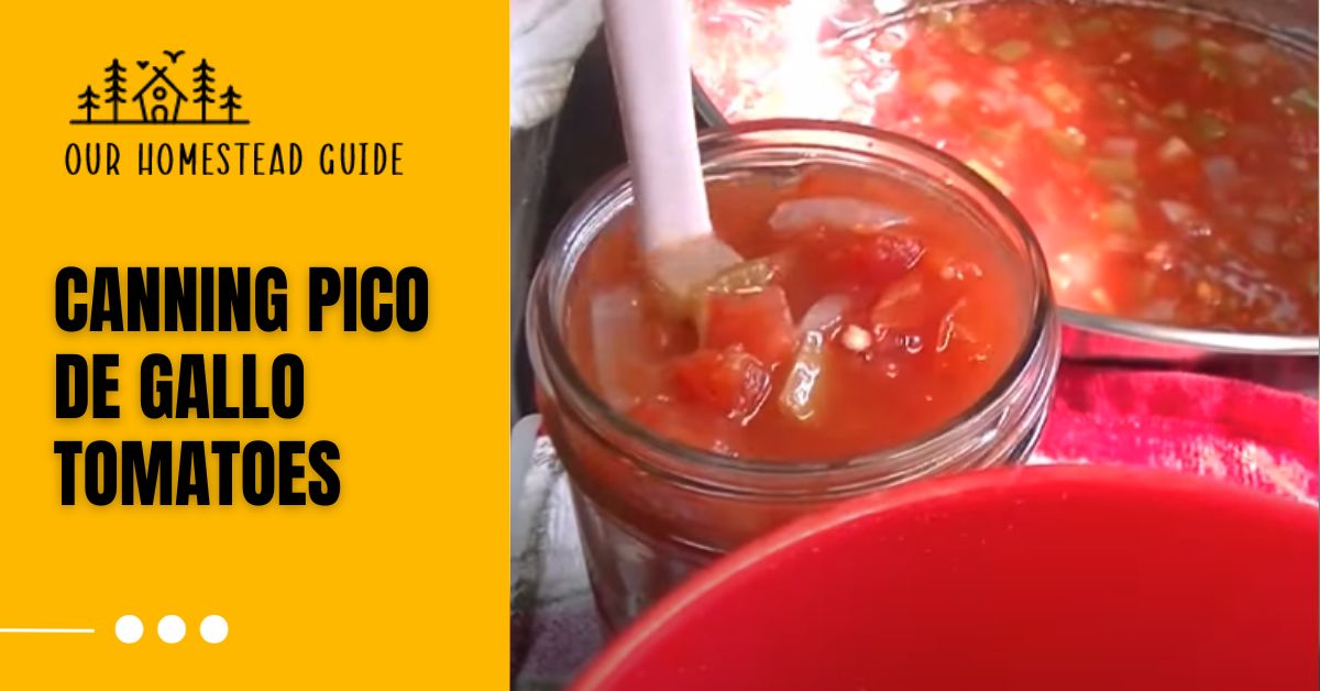 Canning Pico de Gallo Tomatoes