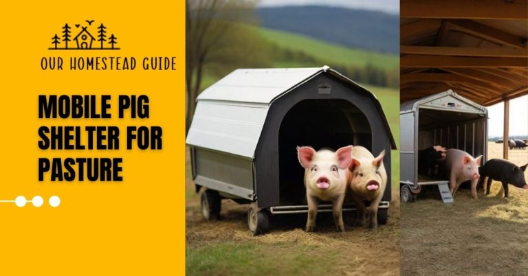 How to Mobile Pig Shelter for Pasture: Simple and Sturdy