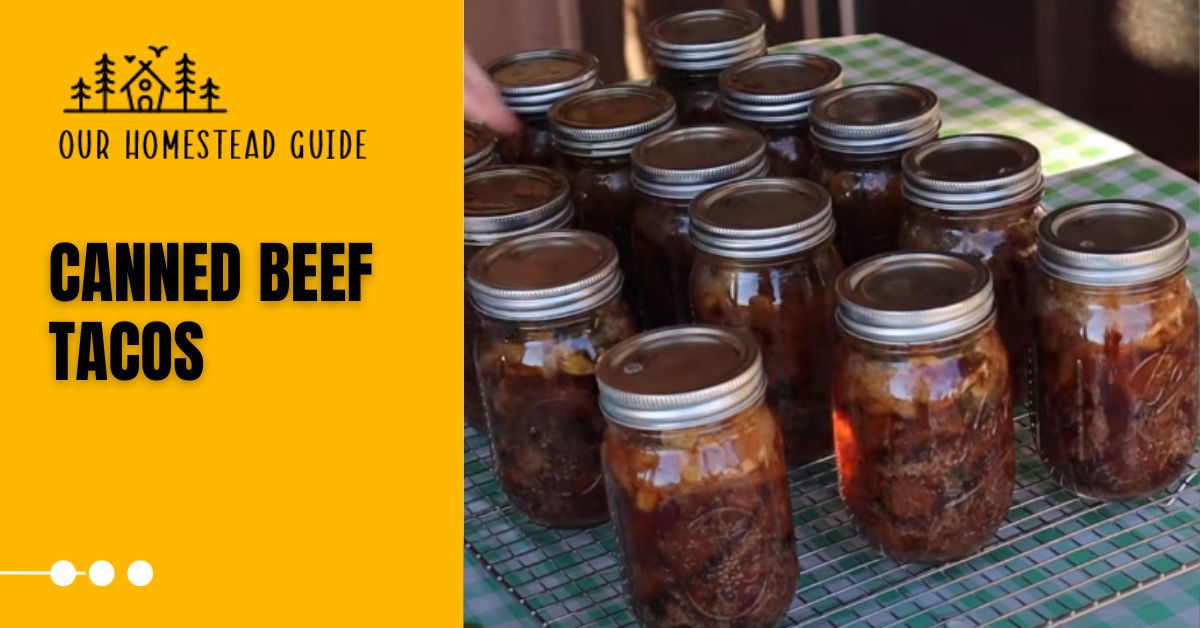 How to Canned Beef Tacos: Make Delicious Healthy Canning