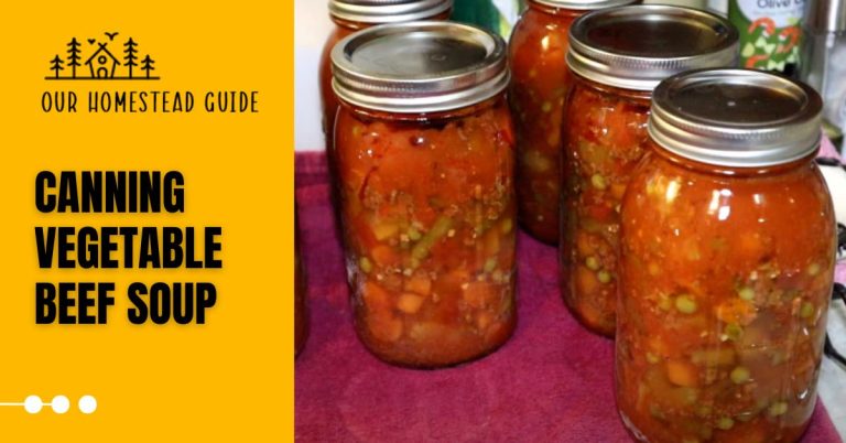 Canning Vegetable Beef Soup: Easy Homemade Preservation