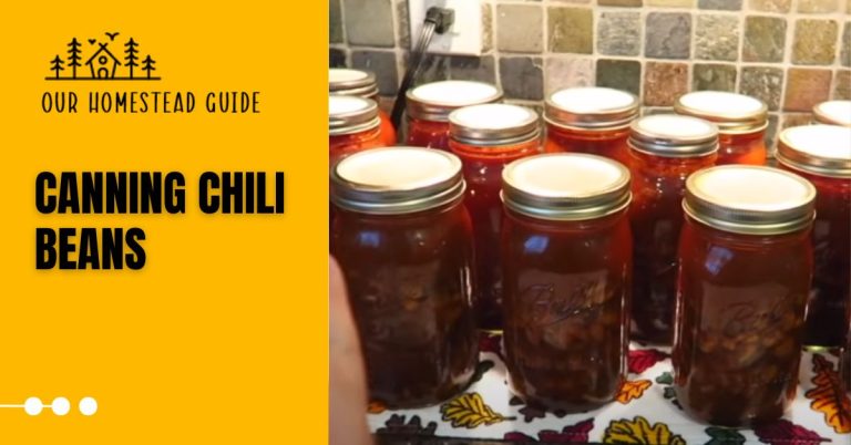 Canning Chili Beans: step by step guide