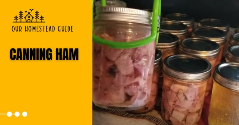 Home Canning Ham: Process easy step by step