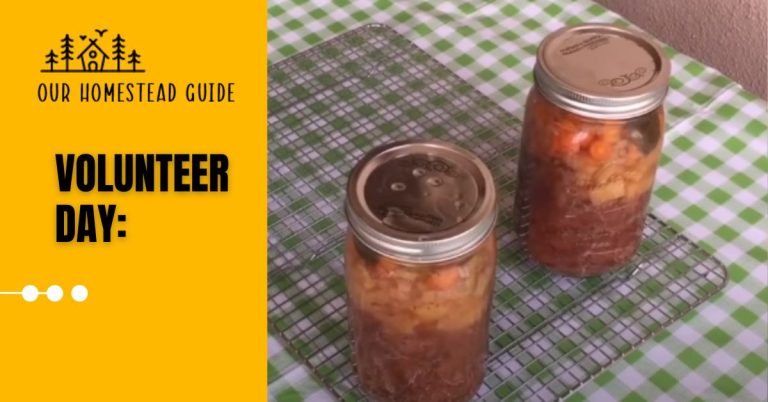 How to Canning Beef Stew: step by step guide