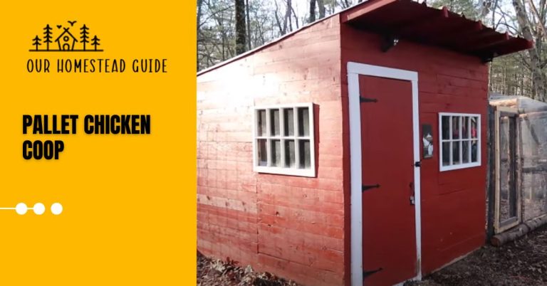 DIY Pallet Chicken Coop: Step-by-Step Guide and Plans