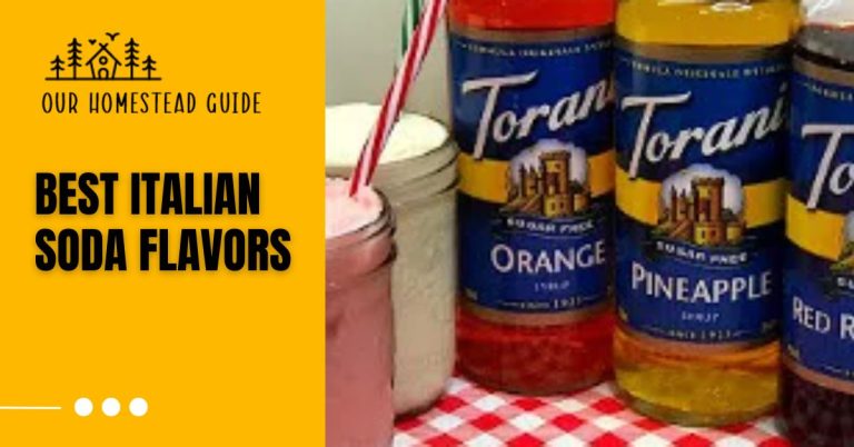 How To Make Best Italian Soda Flavors: Step by Step