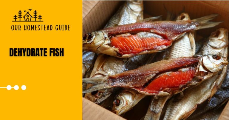 How To Make Dehydrate Fish: Easy Ways to Cook & Dry It