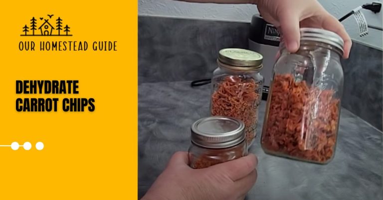 How To Dehydrate Carrot Chips: A Step-by-Step Guide