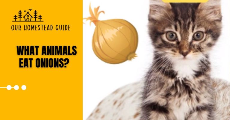 What Animals Eat Onions? 25 Animals that Eat Onions