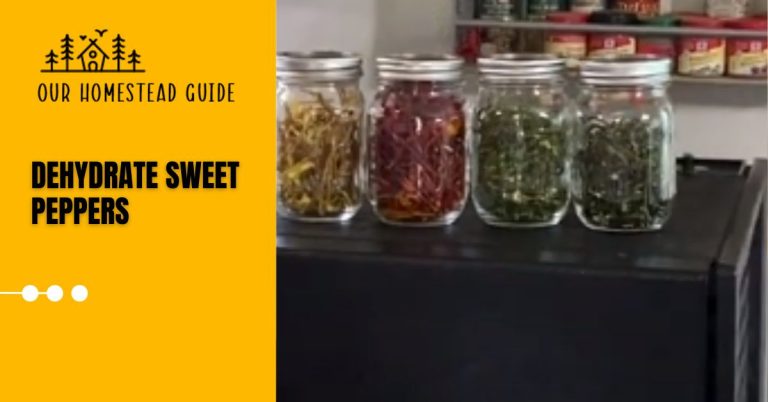 How To Dehydrate Sweet Peppers: Easy steps