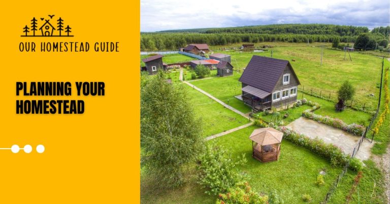 15 Steps Planning Your Homestead: A Comprehensive Guide