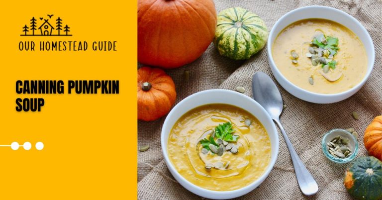 Canning Pumpkin Soup: Quick How-To Guide
