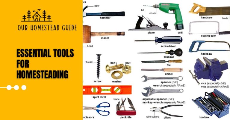 50 Essential Tools For Homesteading: Complete Guide