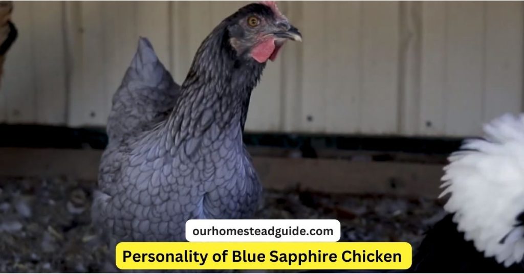 Blue Sapphire Chicken