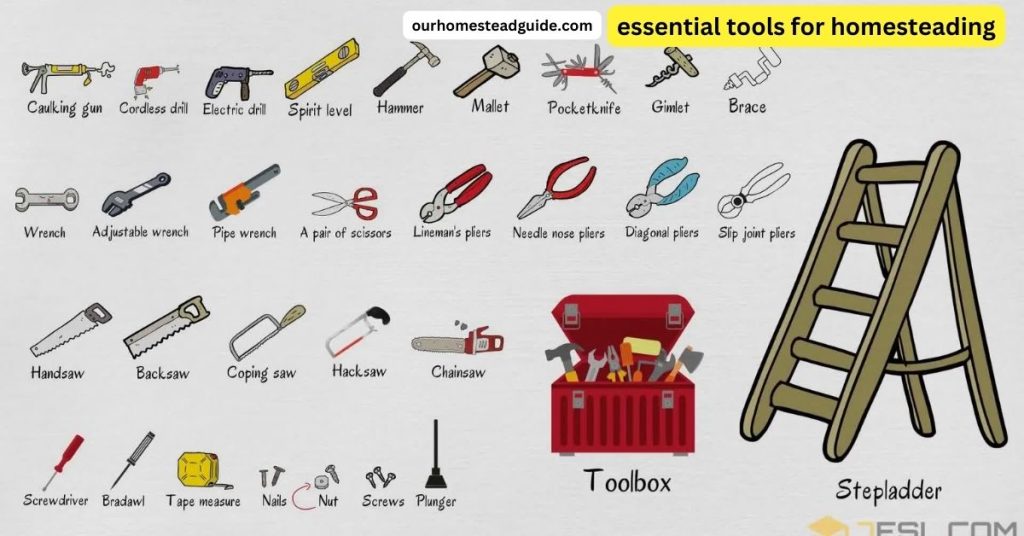 Essential Tools For Homesteading