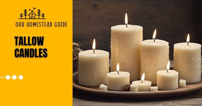 How to Make the BEST Tallow Candles: Great Gifts! Super Easy!
