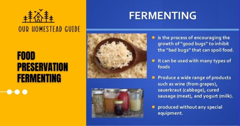 Food Preservation Techniques: Fermenting Benefits, and More