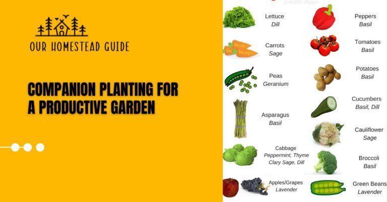 How to Companion Planting for a Productive Garden: Easy Guide
