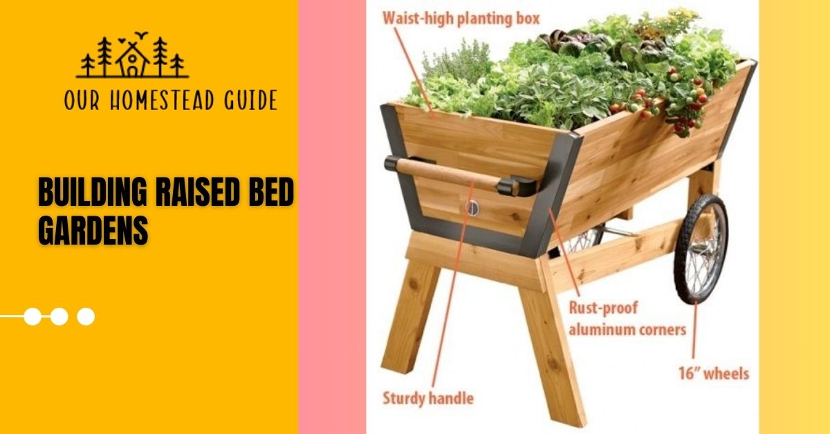 building raised bed gardens