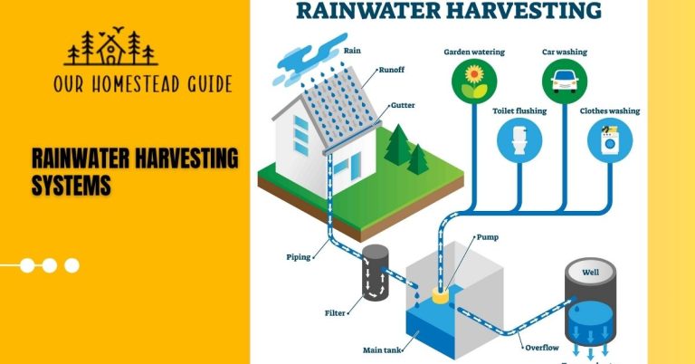 Rainwater Harvesting Systems: Complete Process