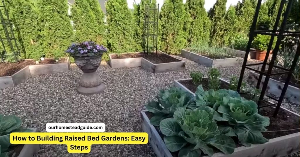 Building Raised Bed Gardens