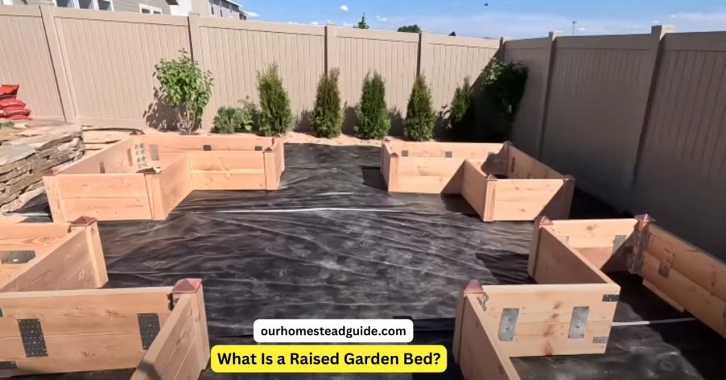 Building Raised Bed Gardens